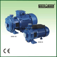 Twin-Impeller Centrifugal Water Booster Pumps